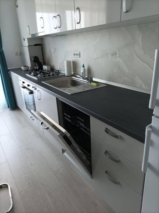 Rebreanu Residence Lux Apartmen Timisoara Esterno foto